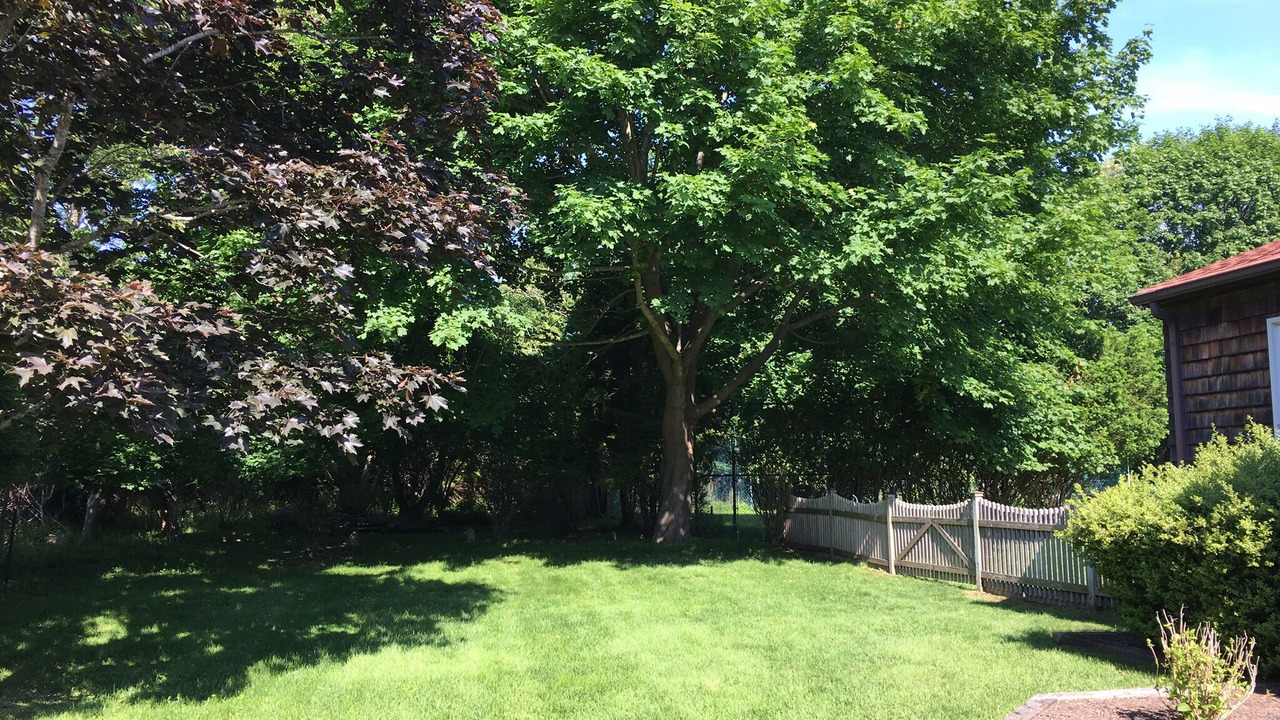 Photo of Outdoor in Westhampton