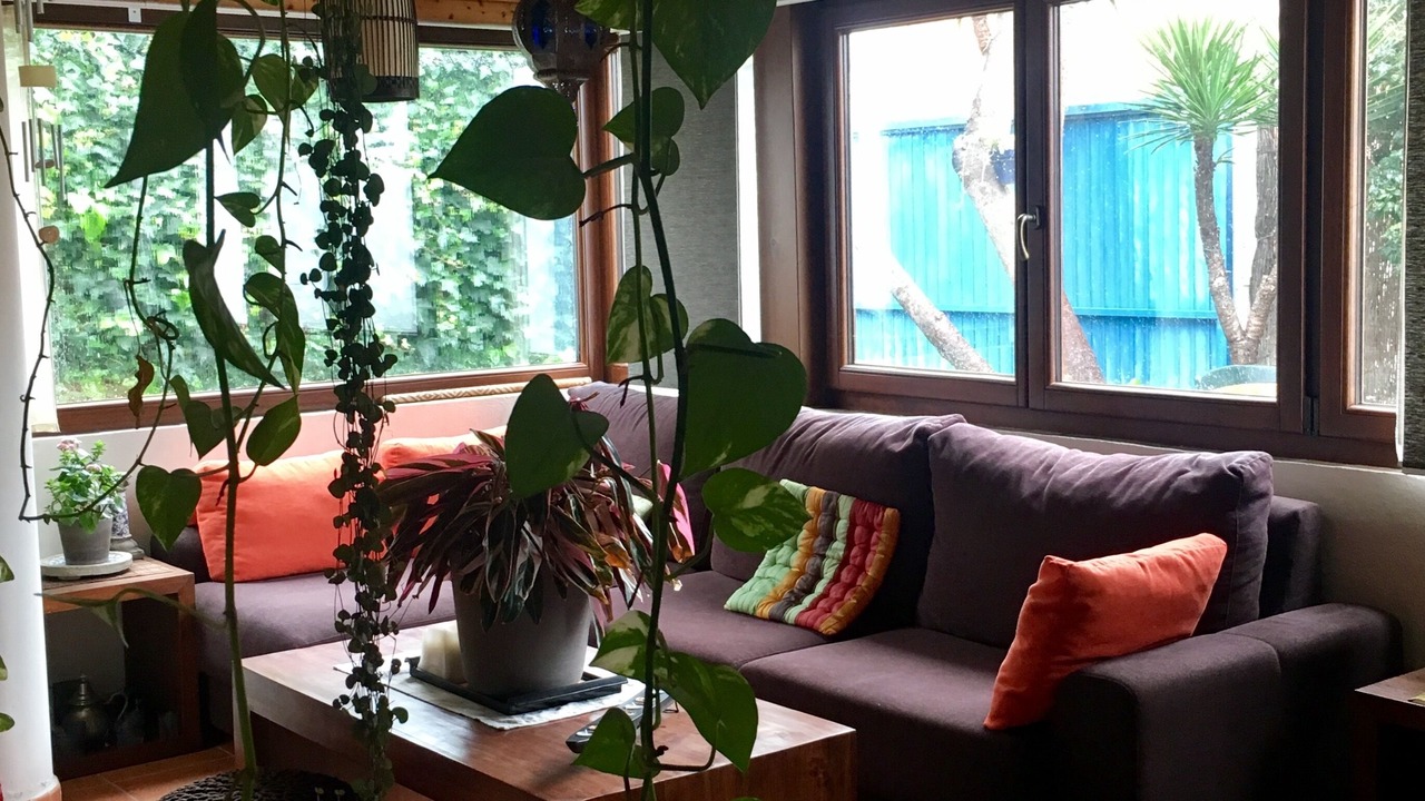 Photo of Livingroom in Tarifa