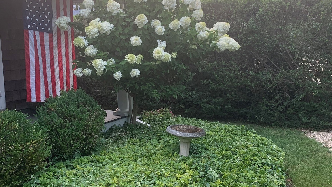 Photo of Outdoor in Village of Southampton