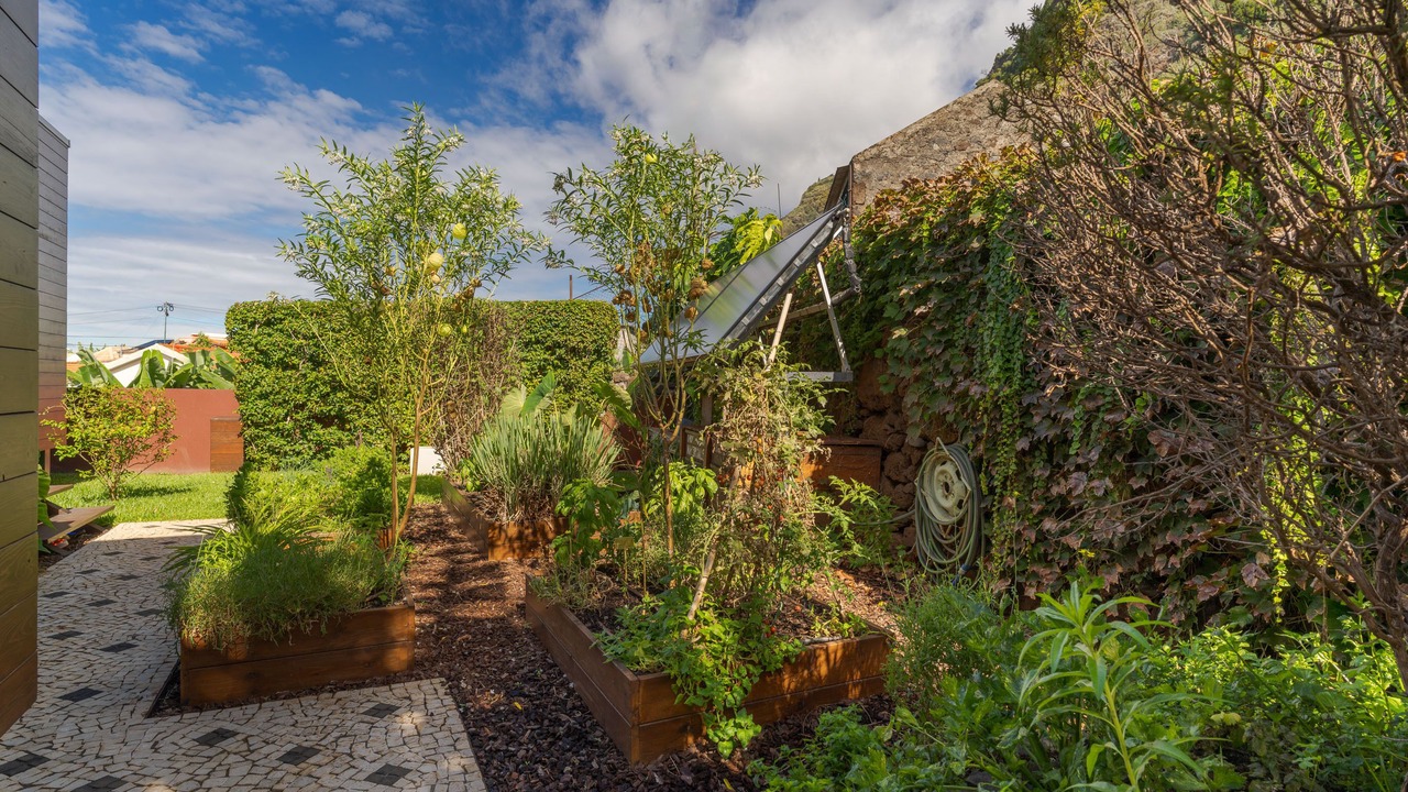 Photo of Outdoor in Jardim do Mar
