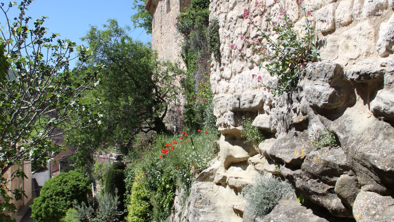 Photo of Outdoor in Lacoste