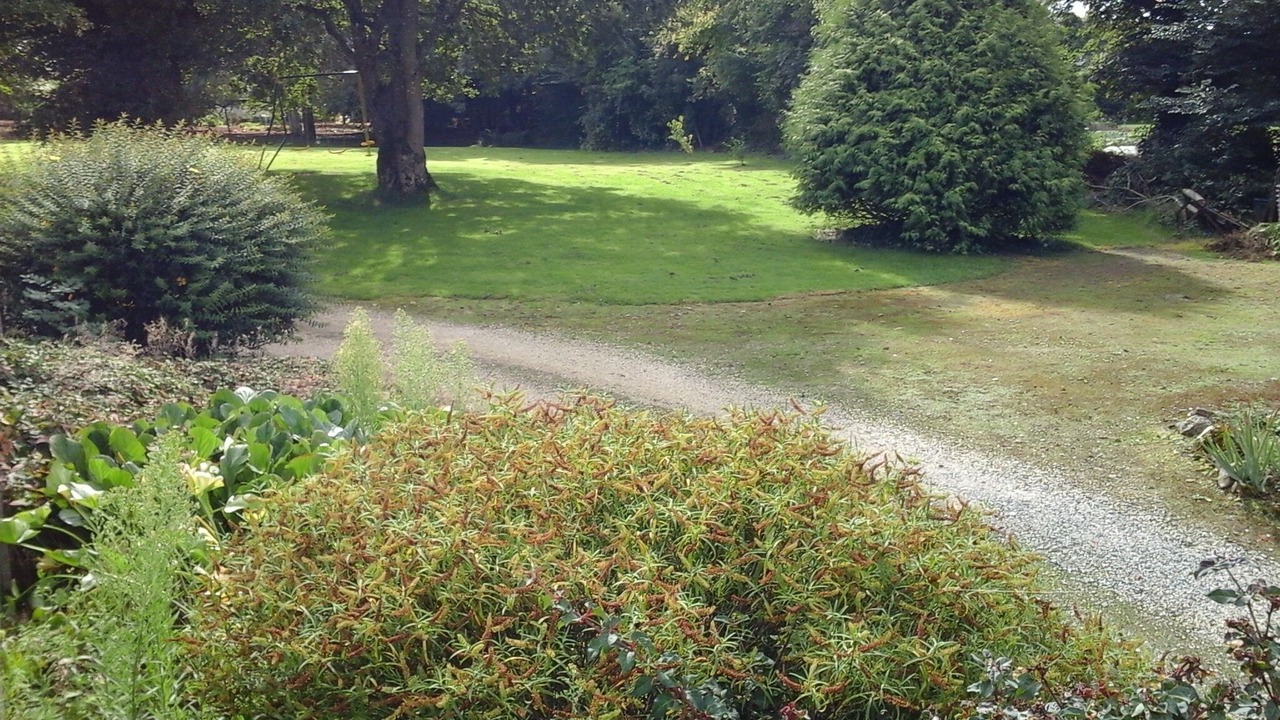 Photo of Outdoor in Saint-Connec
