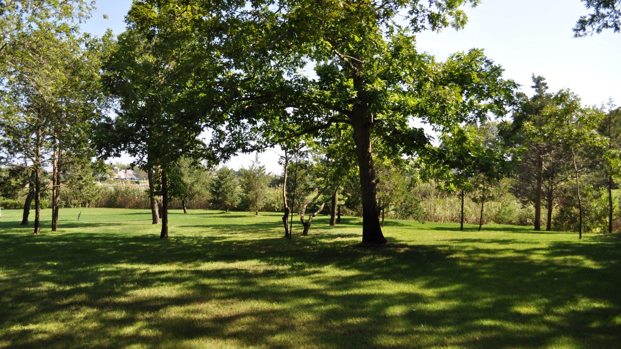 Photo of Outdoor in Remsenburg