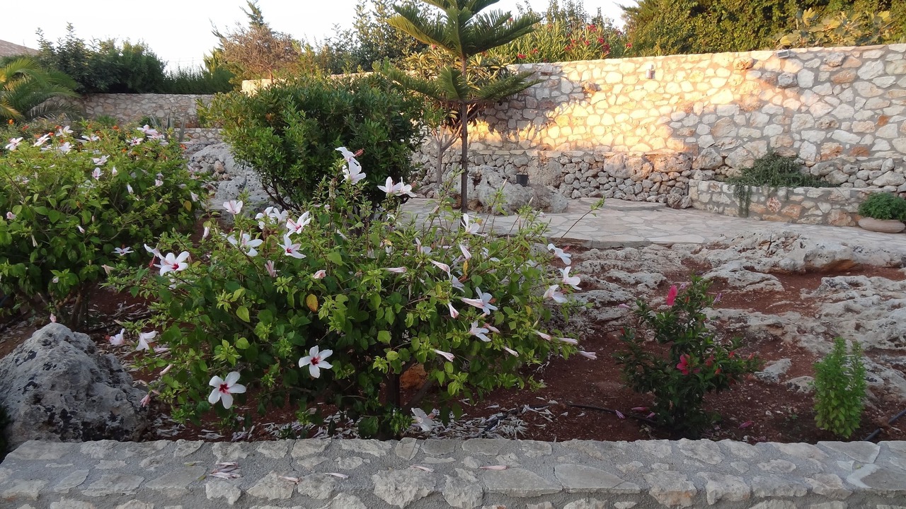 Photo of Others in Plaka