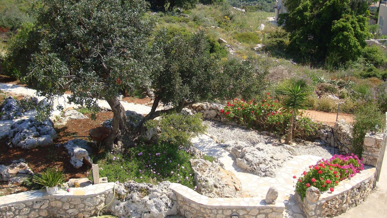 Photo of Outdoor in Plaka
