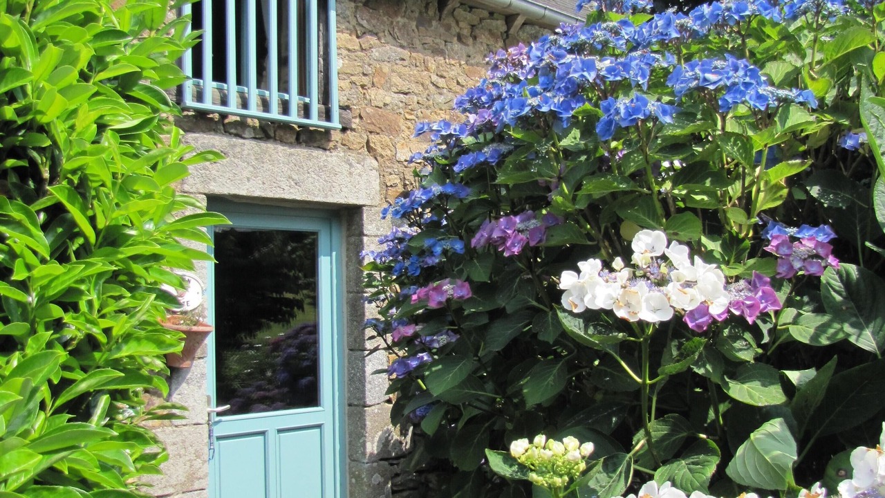 Photo of Outdoor in Gomene