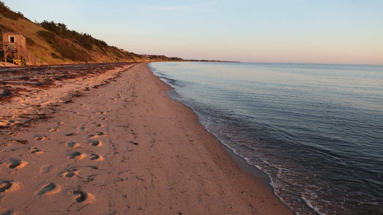 Photo of Others in North Truro