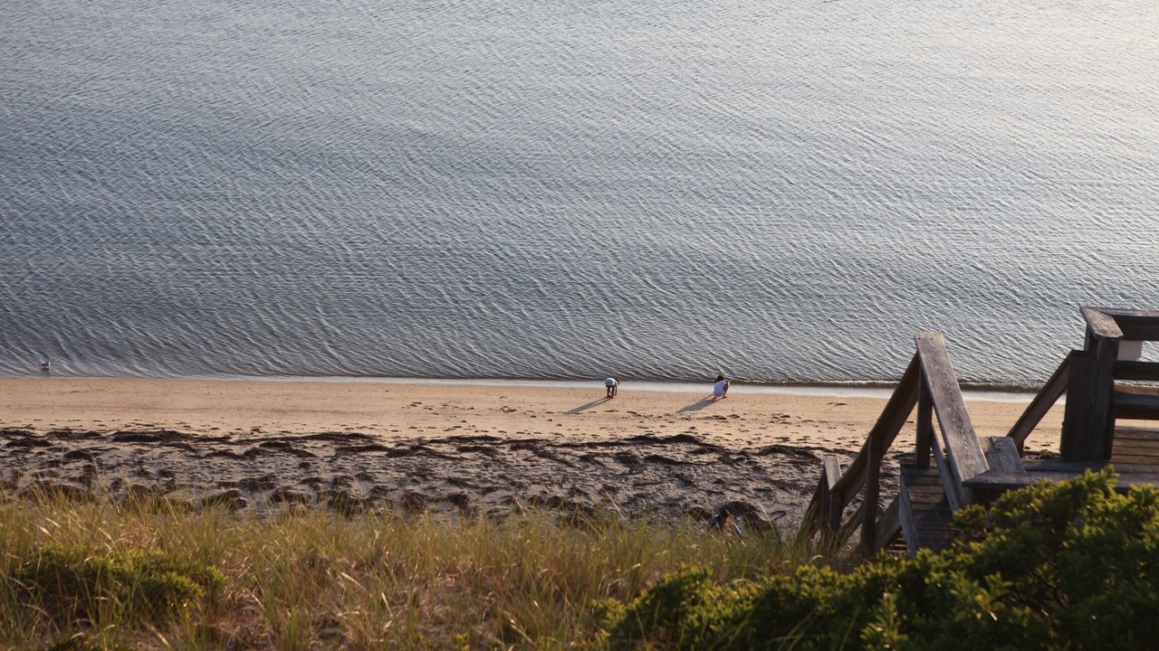 Photo of Others in North Truro