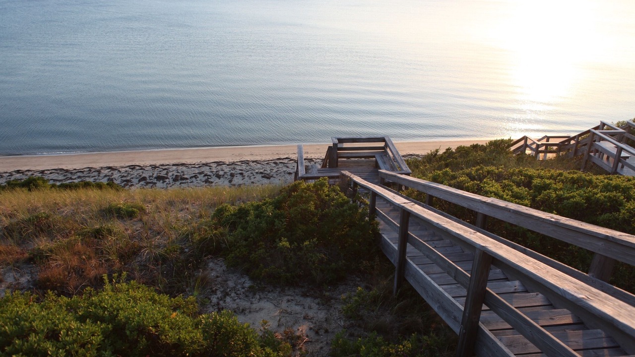 Photo of Others in North Truro