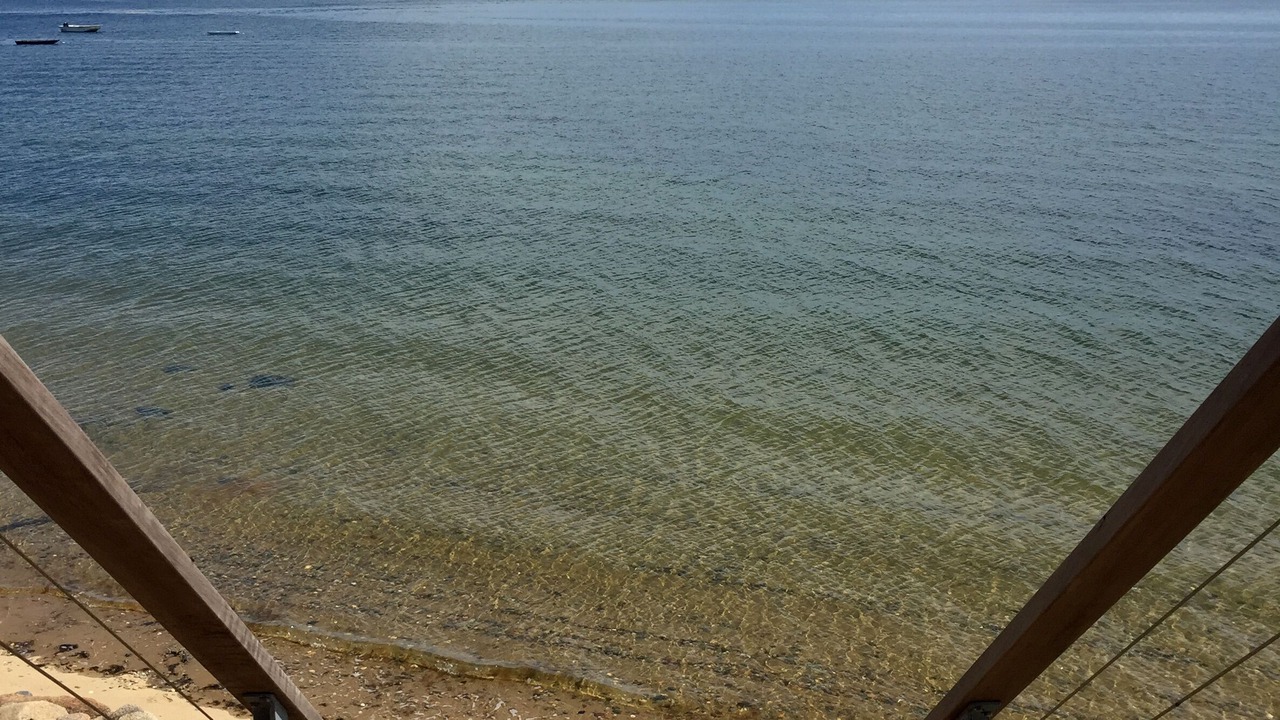Photo of Others in Wellfleet