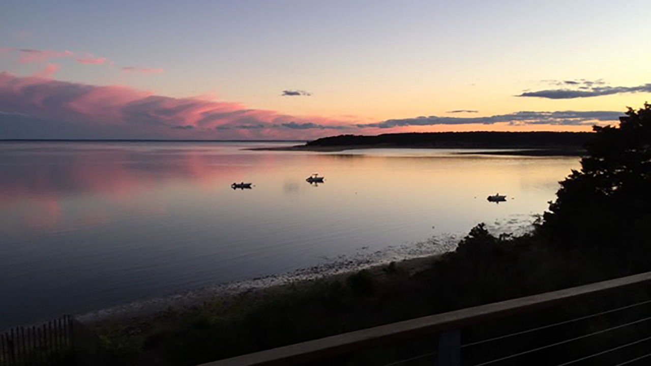 Photo of Others in Wellfleet