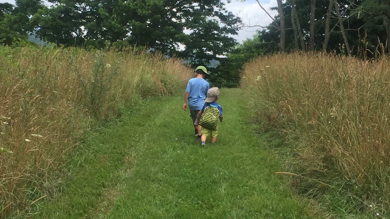 Photo of Others in Blue Grass