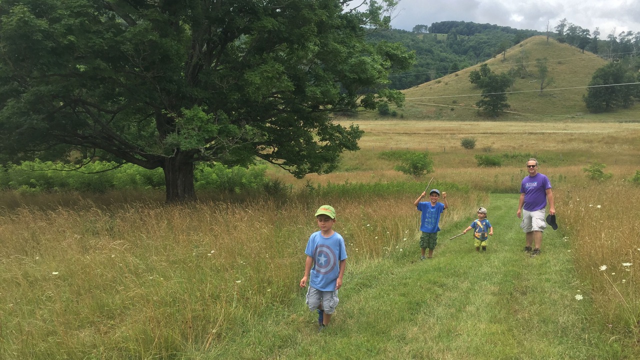 Photo of Others in Blue Grass