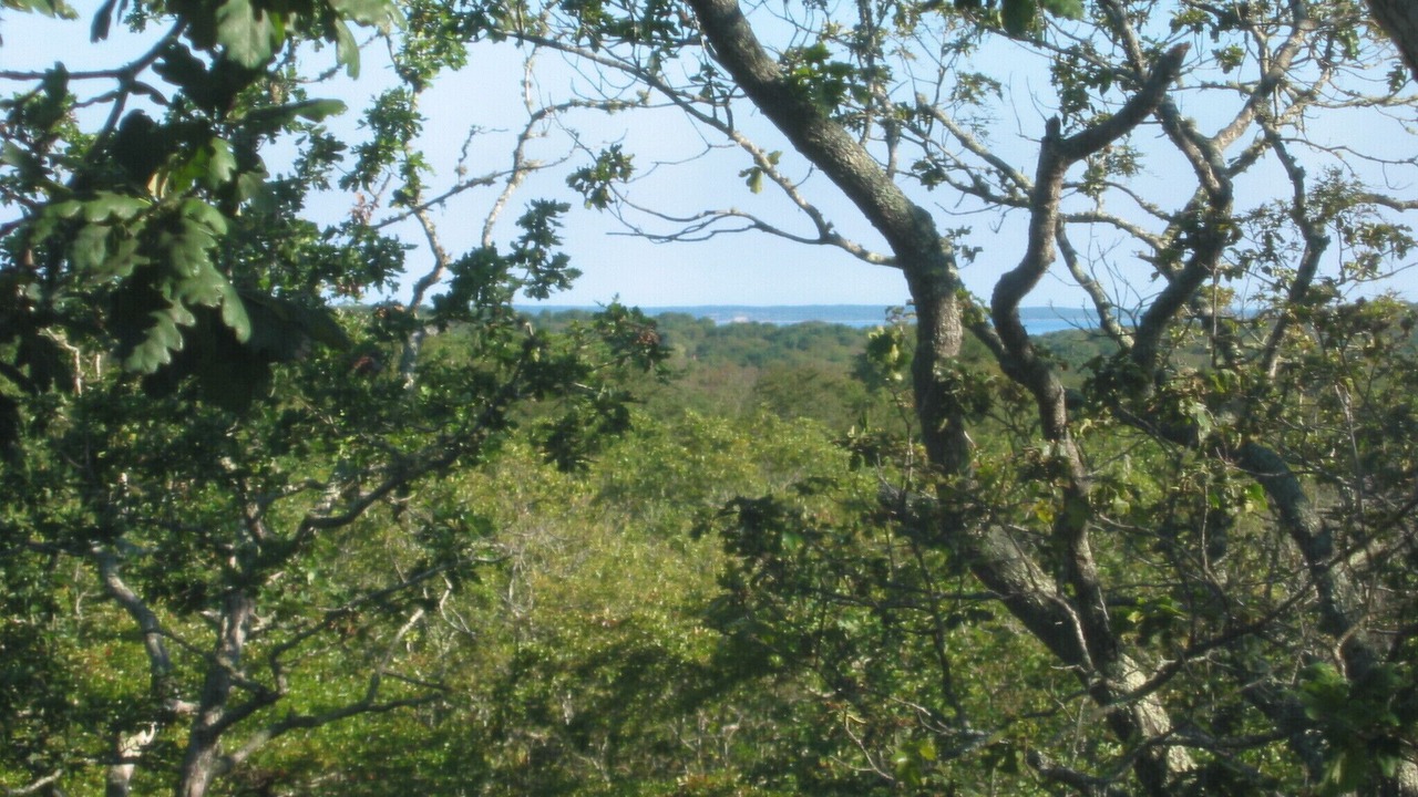 Photo of Others in Chilmark