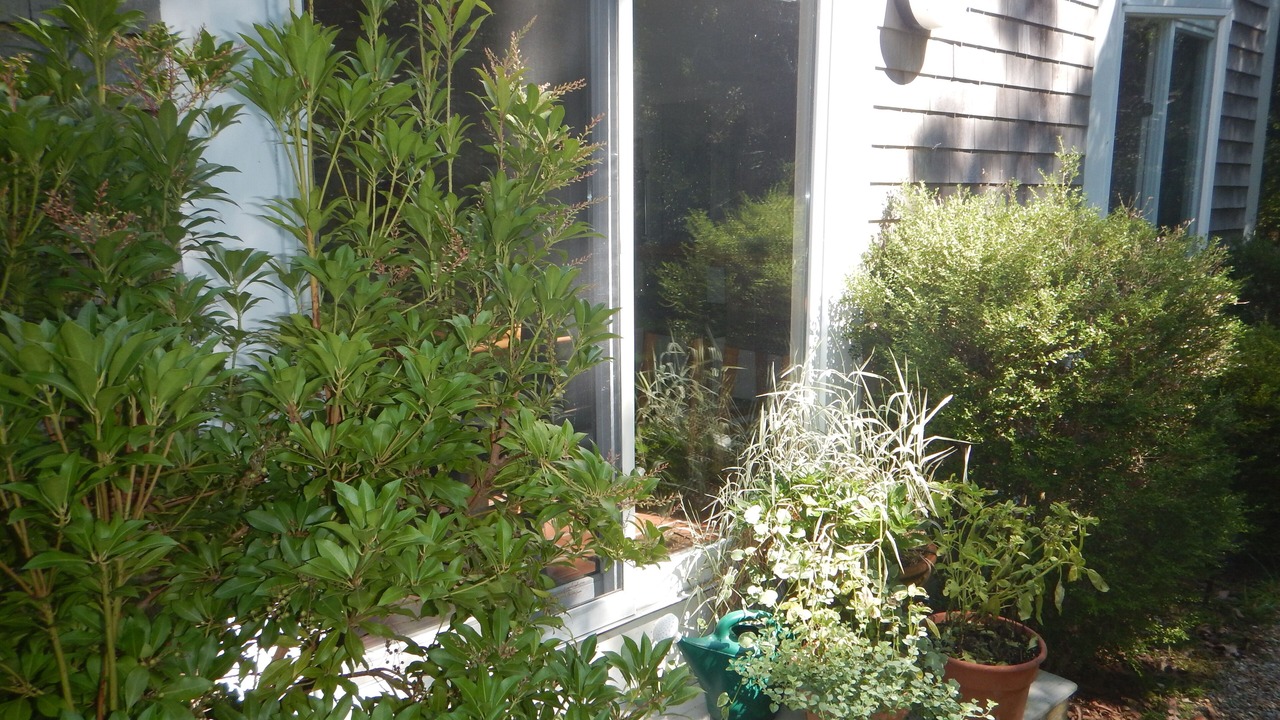 Photo of Outdoor in Chilmark