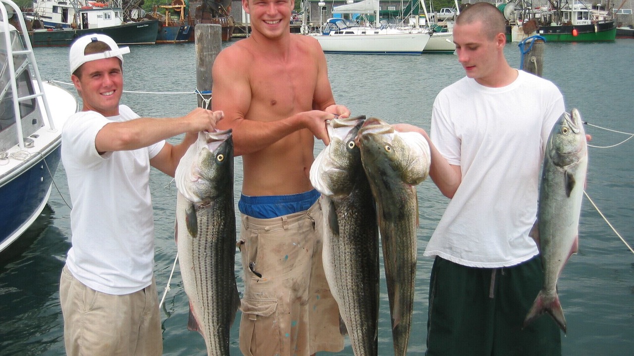 Photo of Others in Chilmark