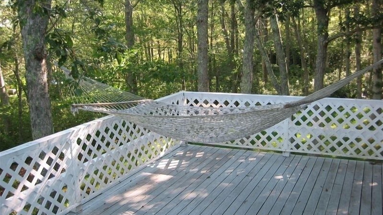 Photo of Others in Chilmark