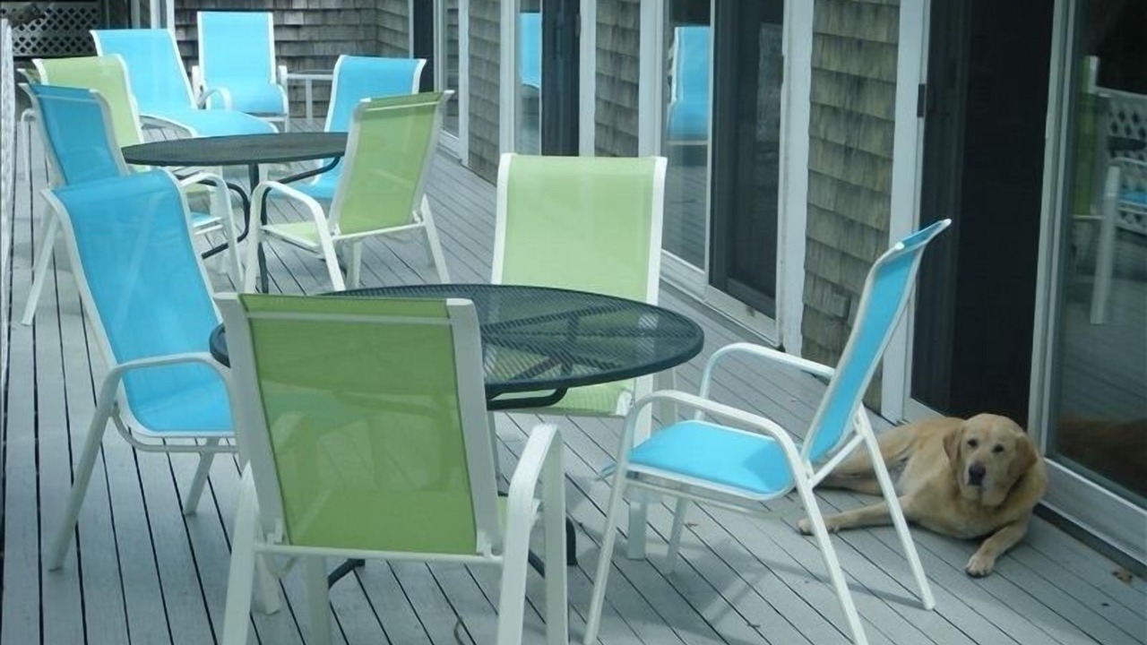 Photo of Others in Chilmark