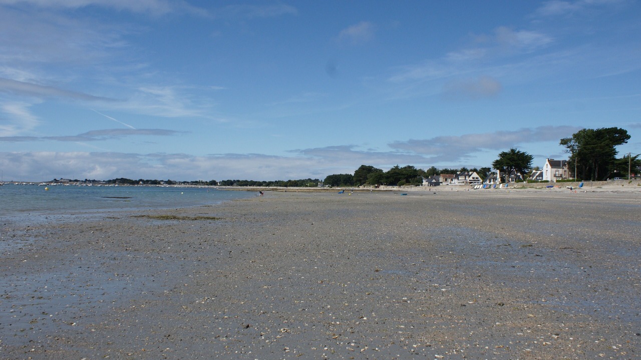 Photo of Others in Sarzeau