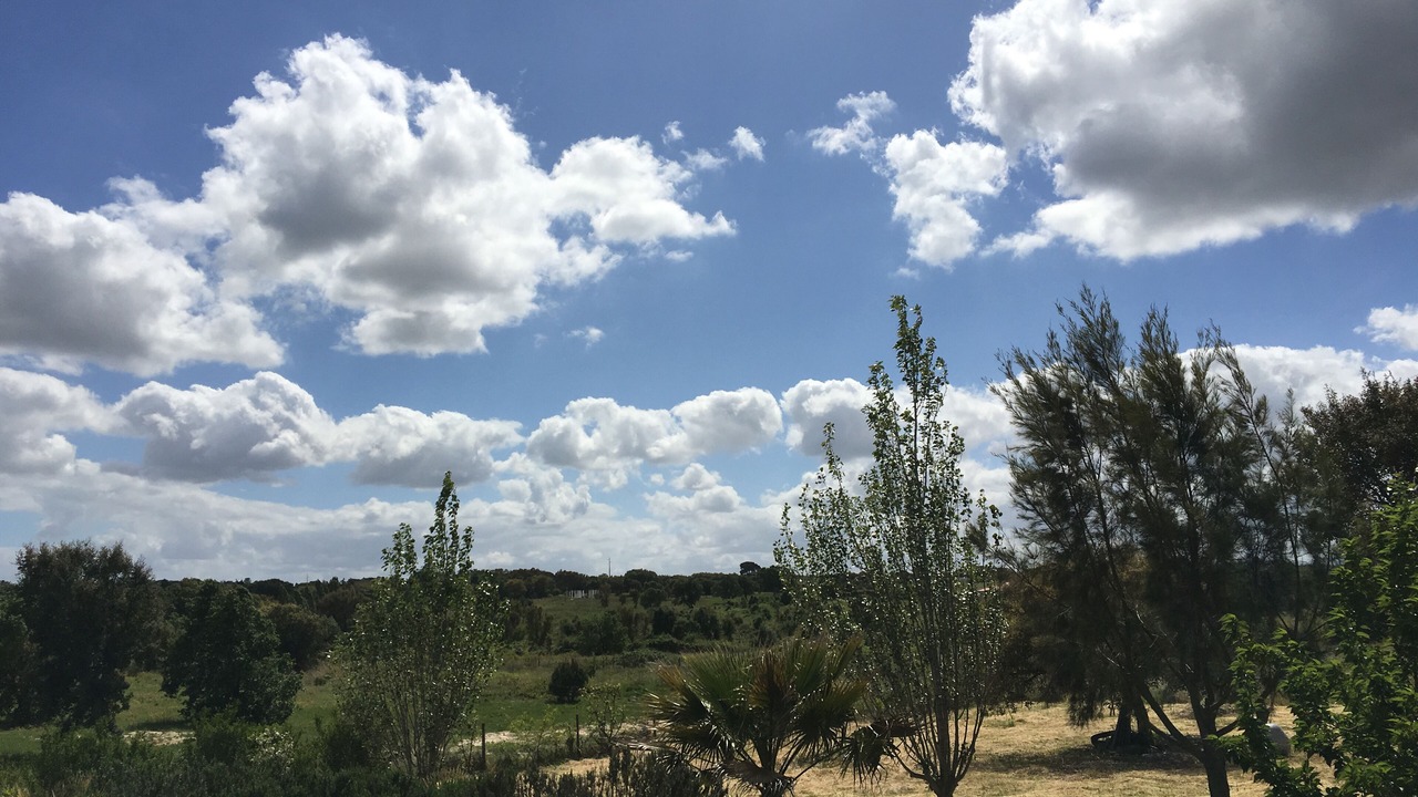 Photo of Outdoor in Vale de Santarem
