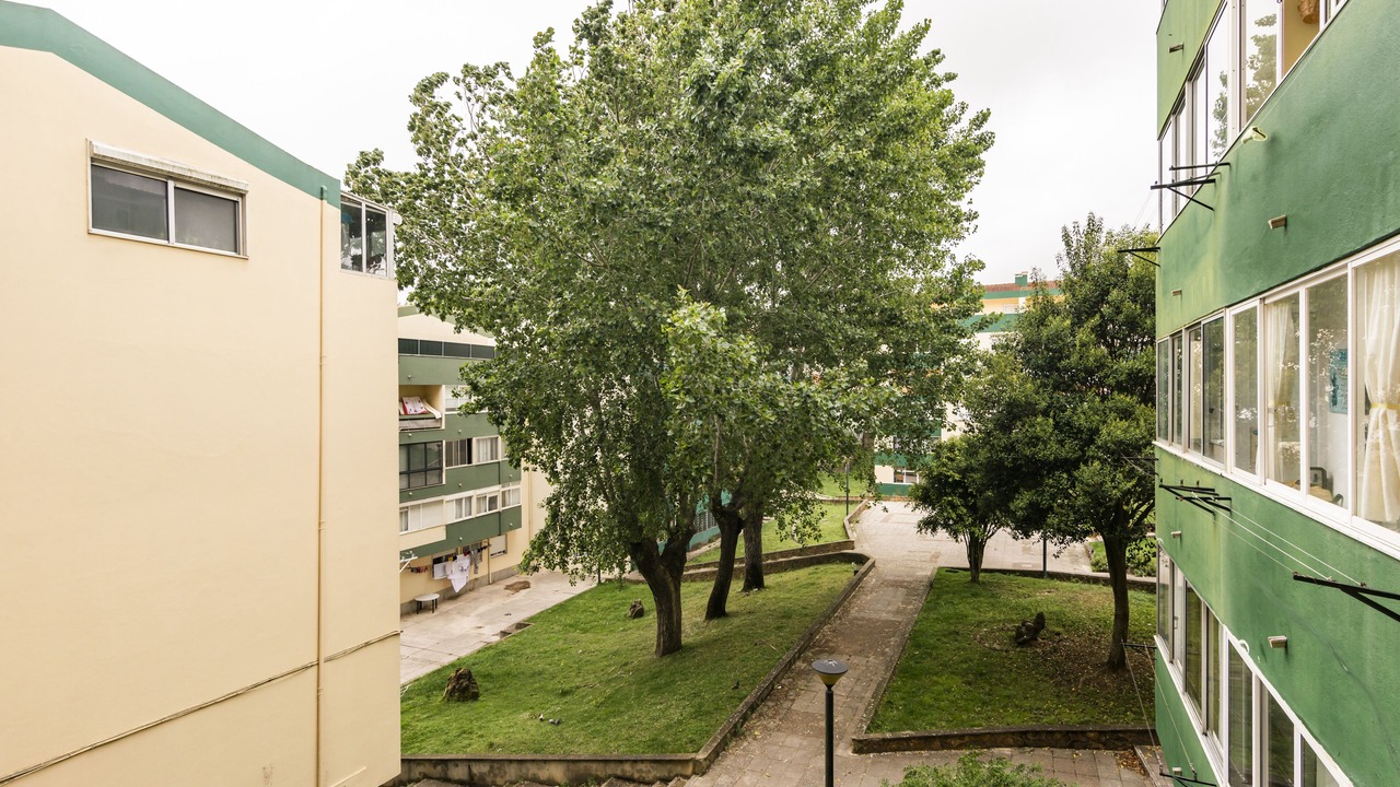 Photo of Outdoor in Rio de Mouro