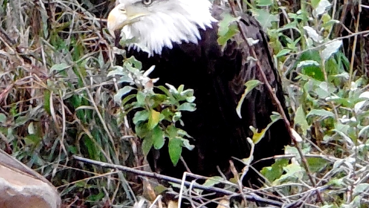 Photo of Outdoor in Buena Vista