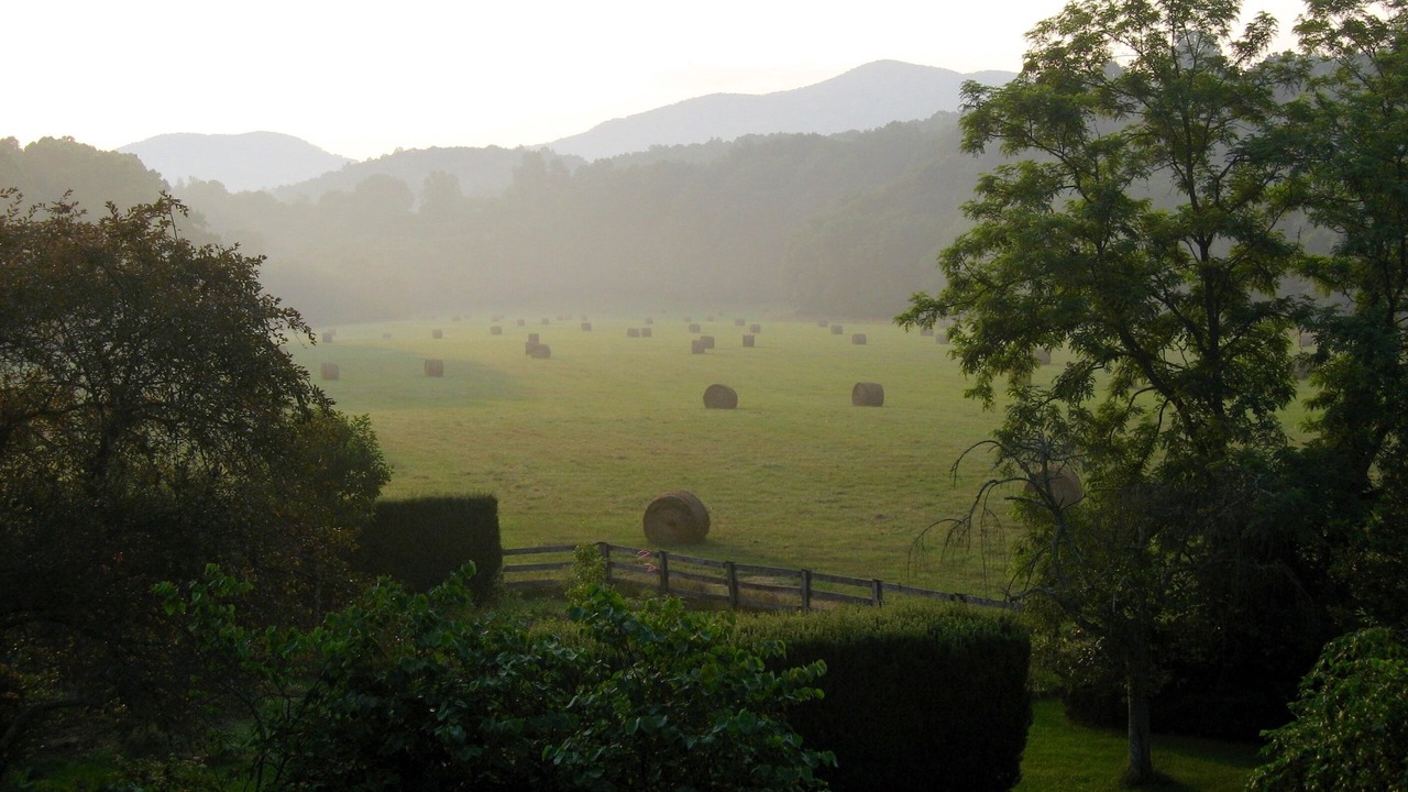 Photo of Others in Buena Vista