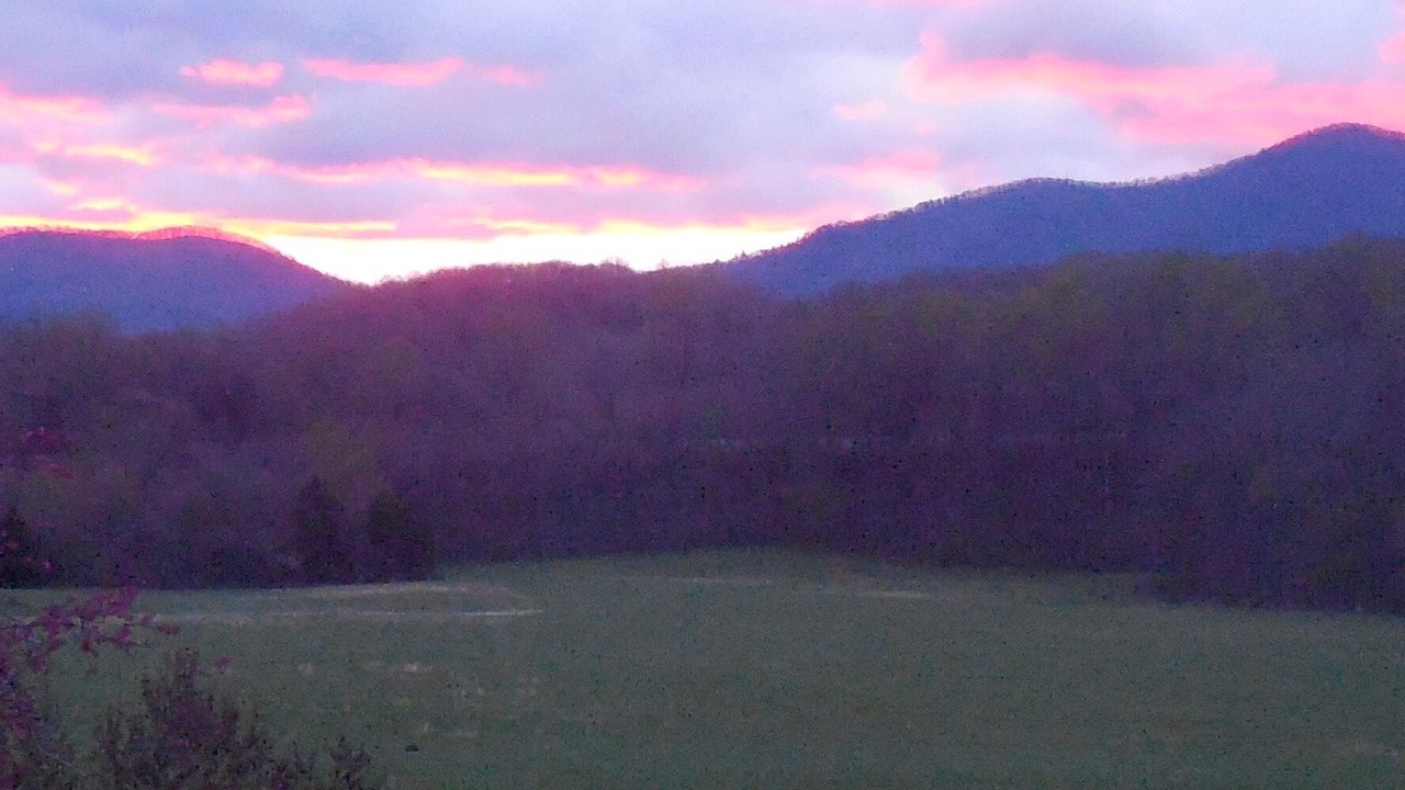 Photo of Others in Buena Vista