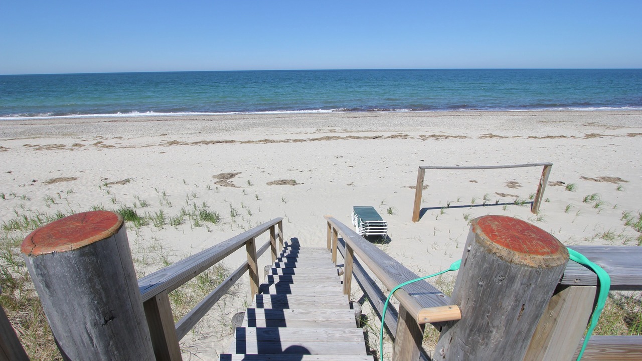 Photo of Others in East Sandwich