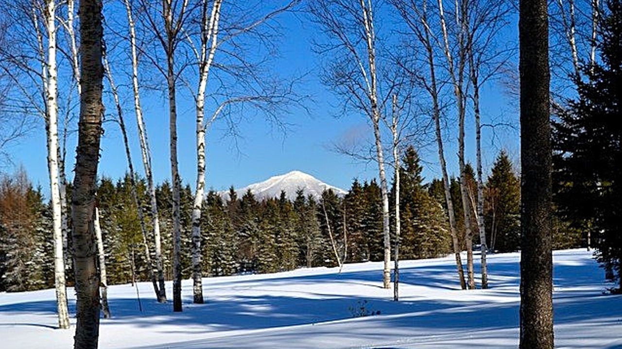Photo of Others in Lake Placid