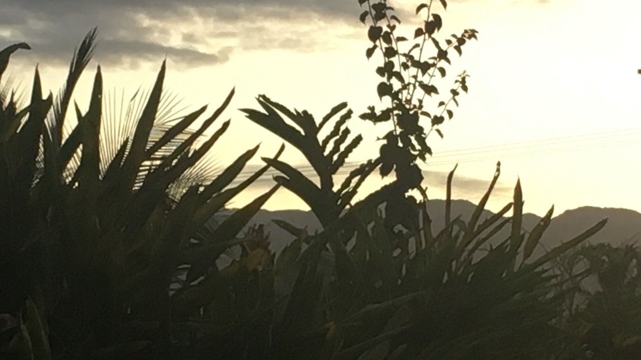 Photo of Outdoor in Newell