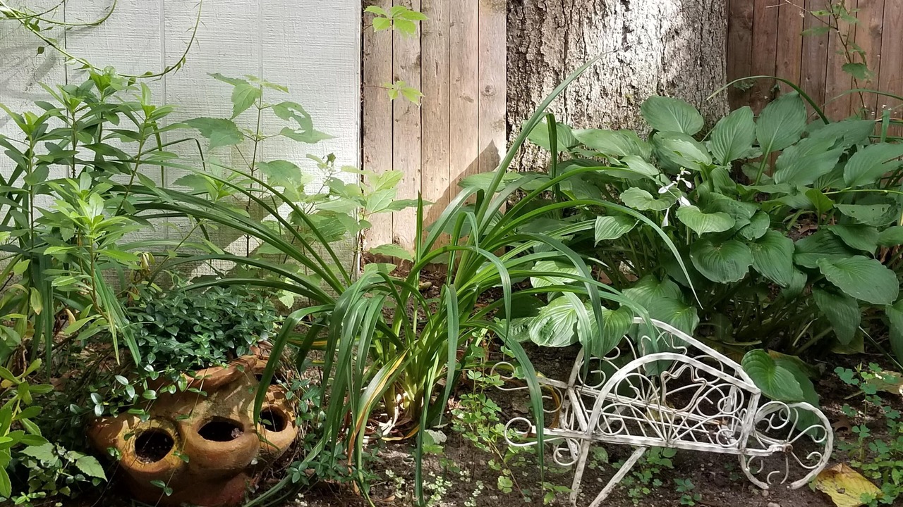 Photo of Outdoor in Woodcliff Park