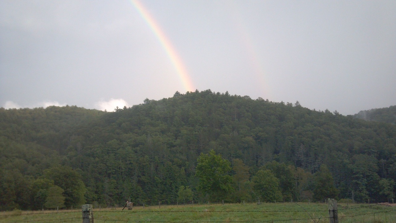 Photo of Outdoor in Head Waters