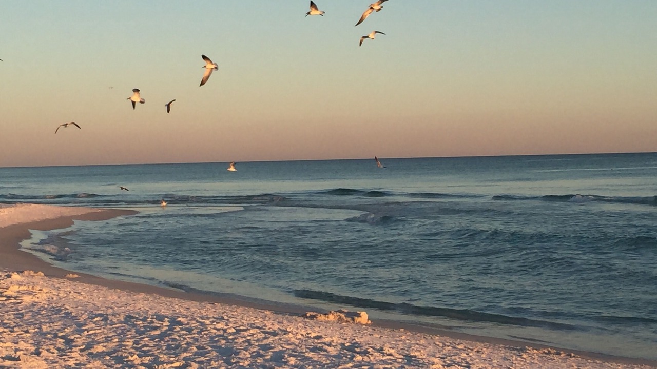 Photo of Others in Miramar Beach