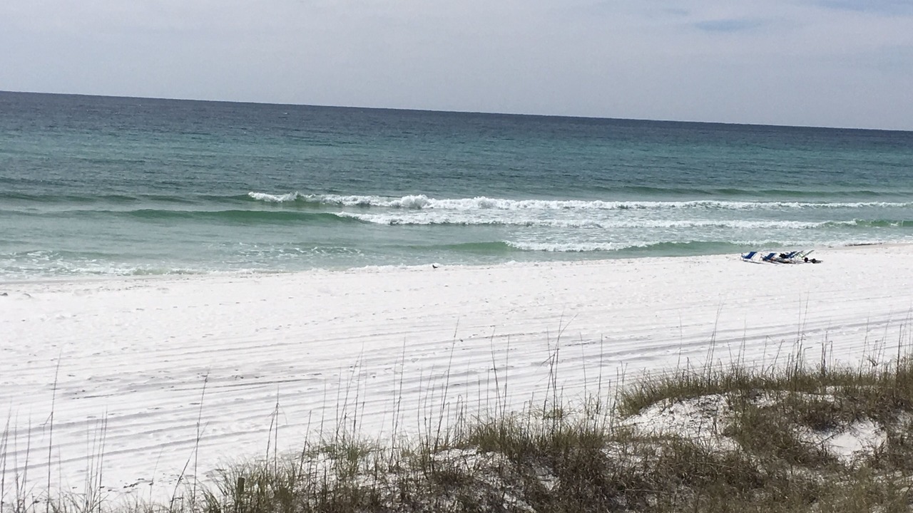 Photo of Others in Miramar Beach