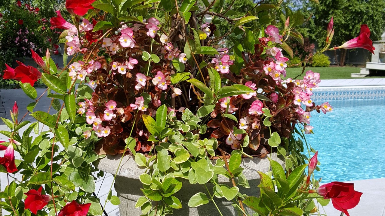 Photo of Outdoor in Remsenburg