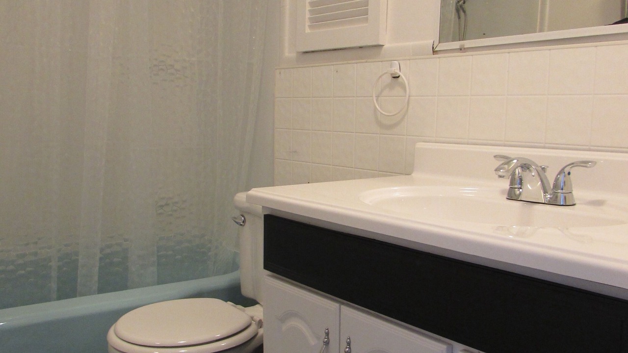 Photo of Bathroom in Downtown Niagara Falls