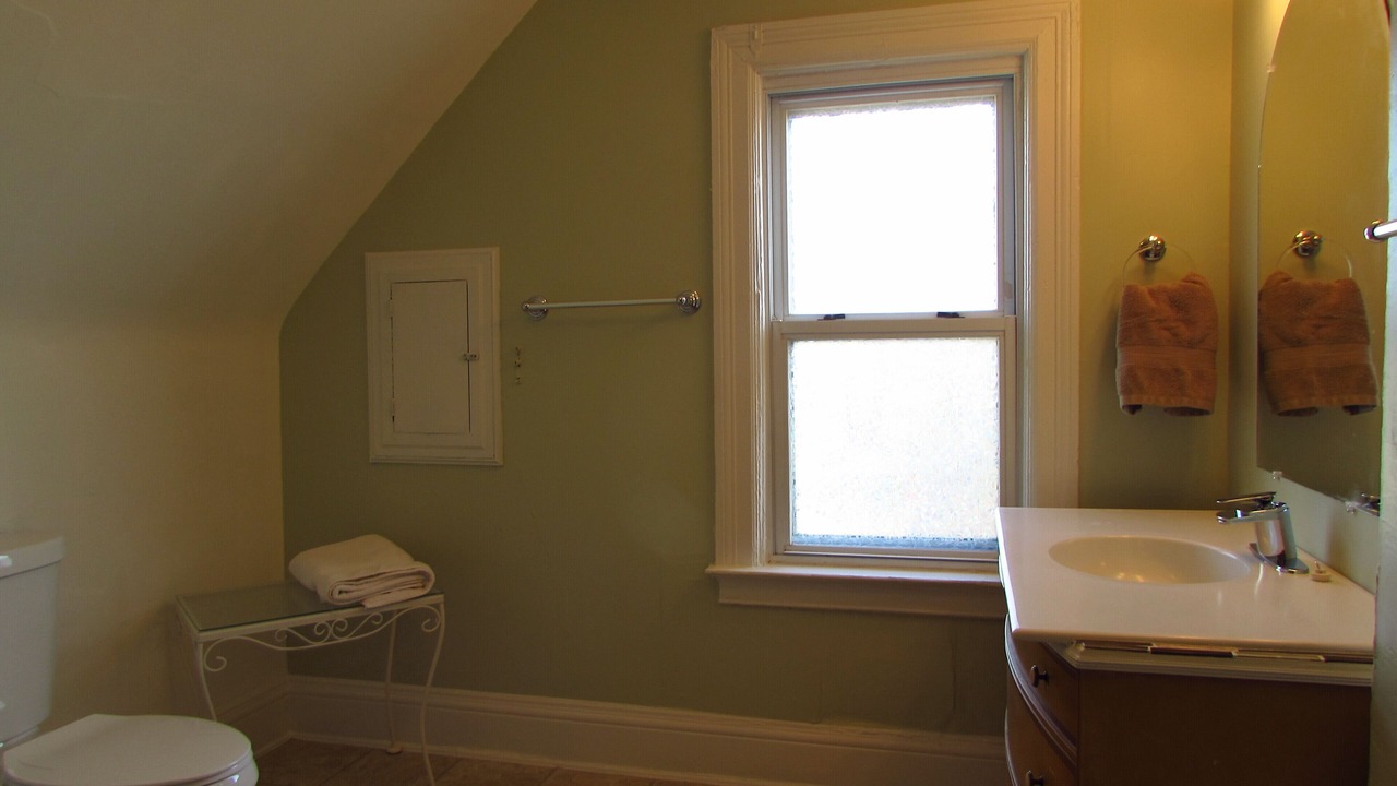 Photo of Bathroom in Downtown Niagara Falls