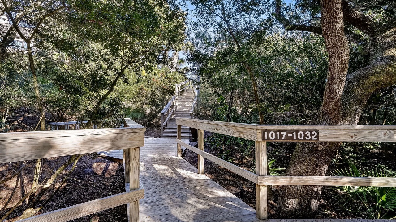 Photo of Outdoor in Fernandina Beach