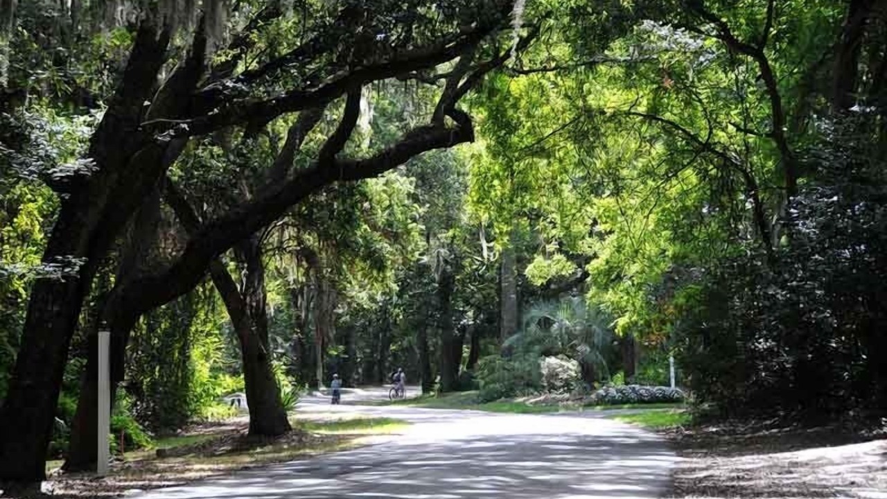 Photo of Others in Fernandina Beach
