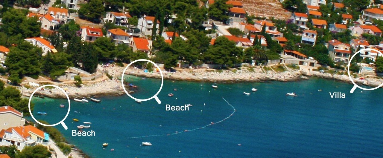 Photo of Others in Businci