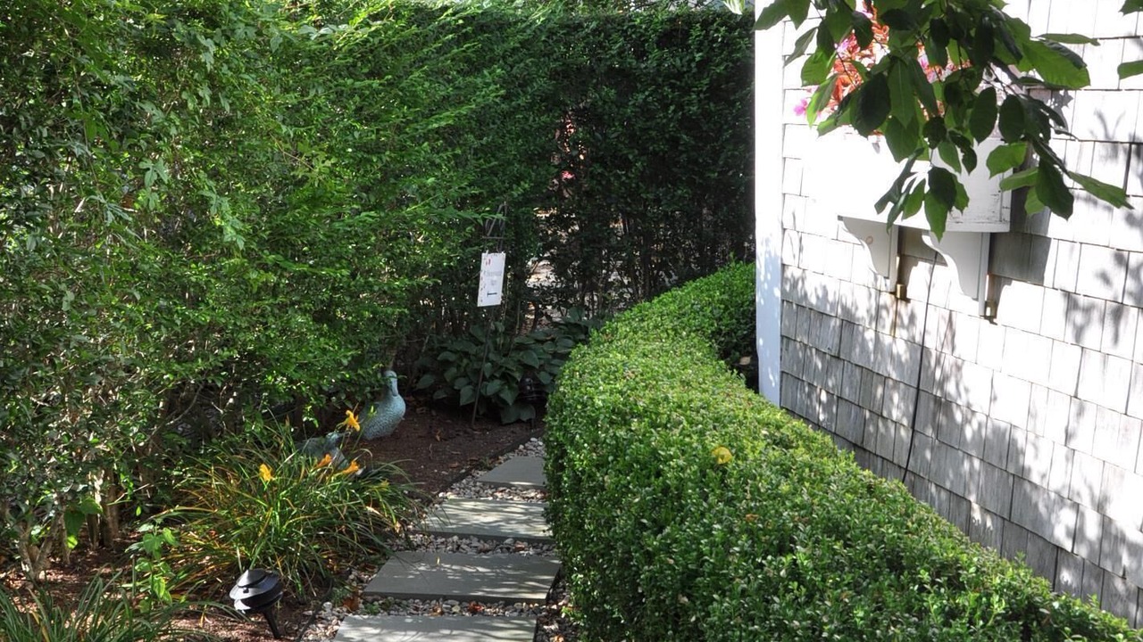Photo of Others in Nantucket Town