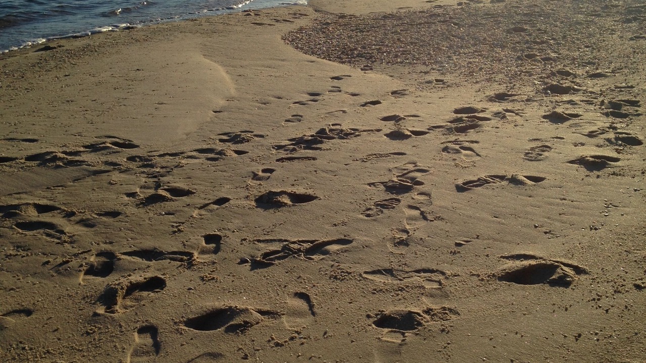 Photo of Others in Mattituck