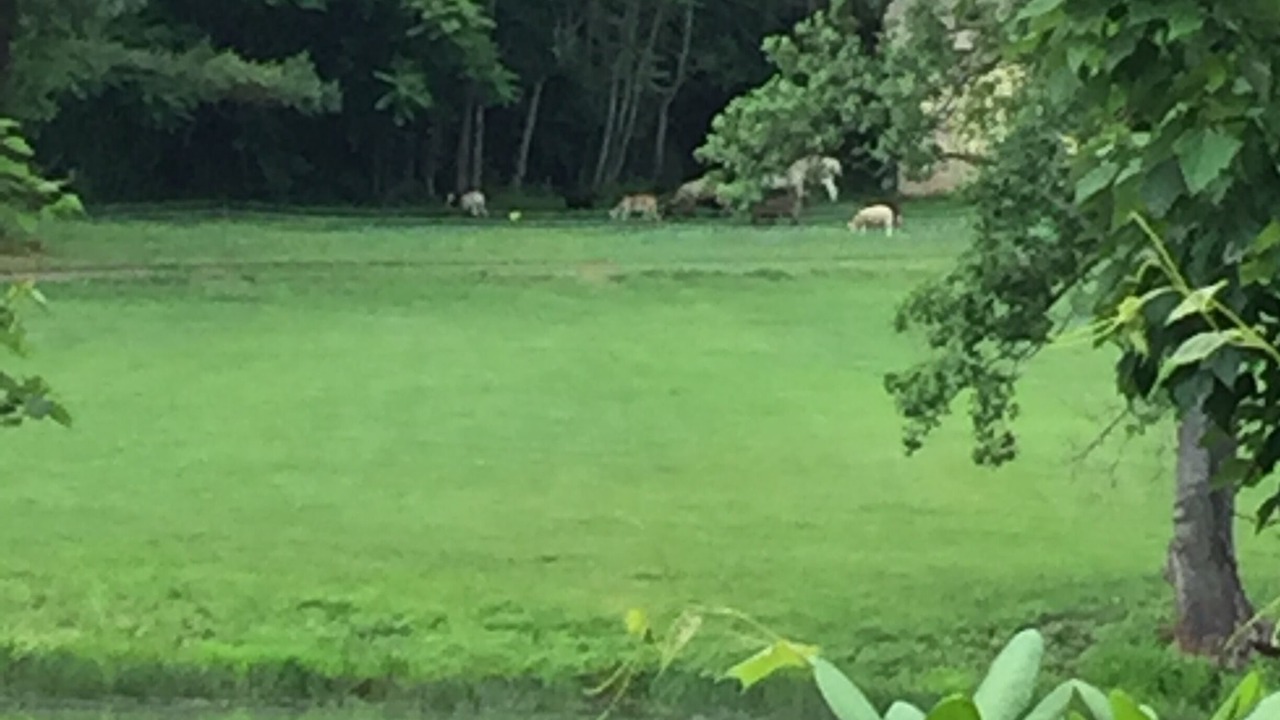 Photo of Others in Culpeper