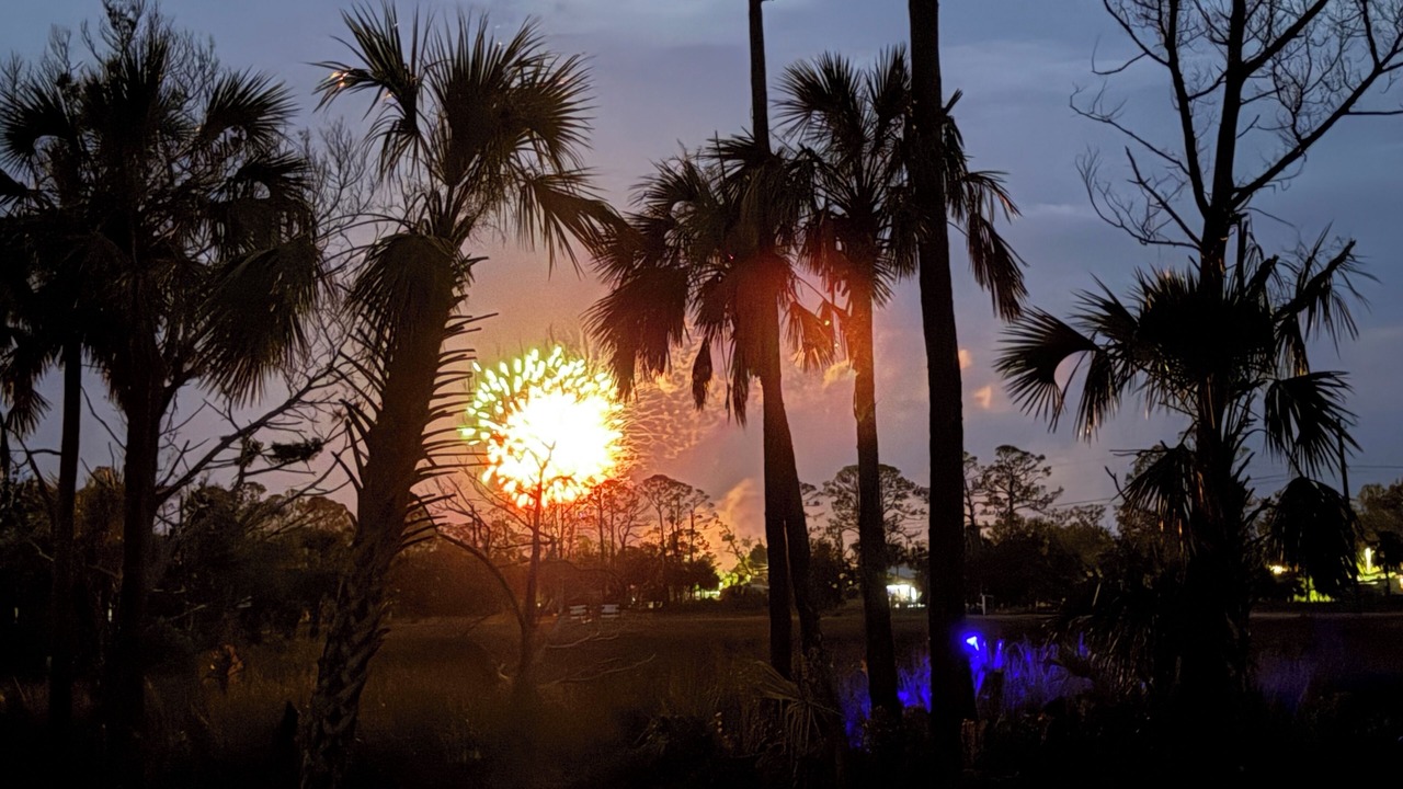 Photo of Others in Steinhatchee