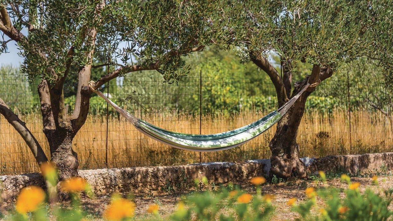 Photo of Outdoor in Drinovci