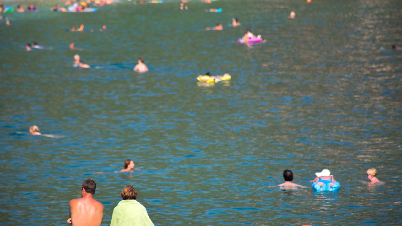 Photo of Others in Drvenik