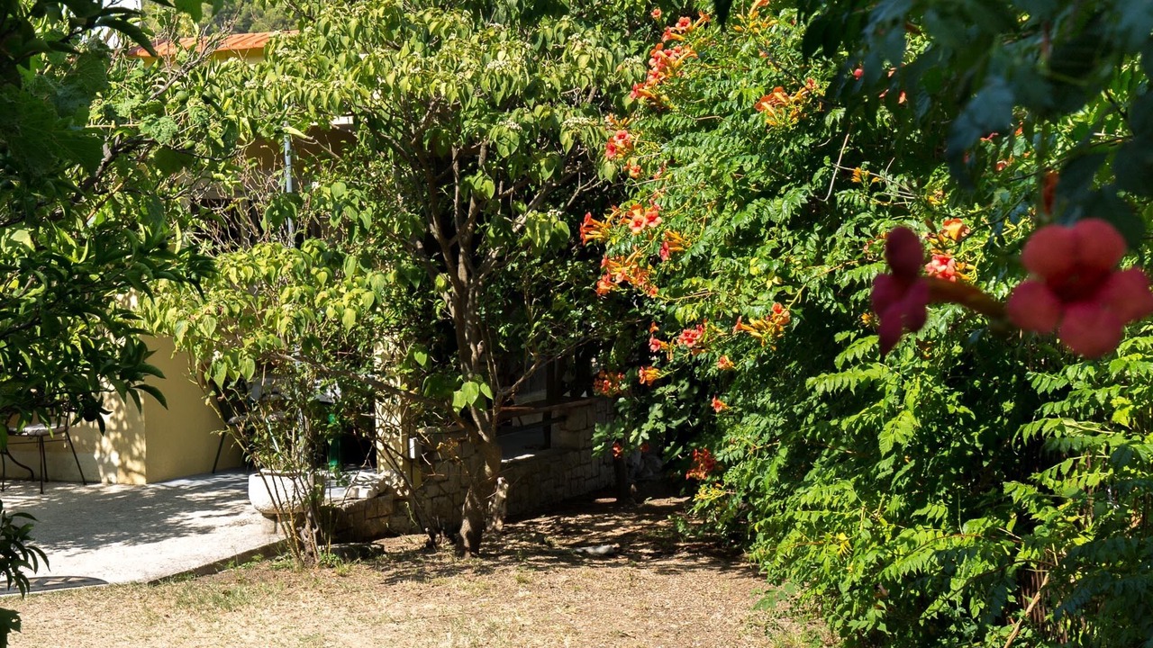 Photo of Outdoor in Drvenik