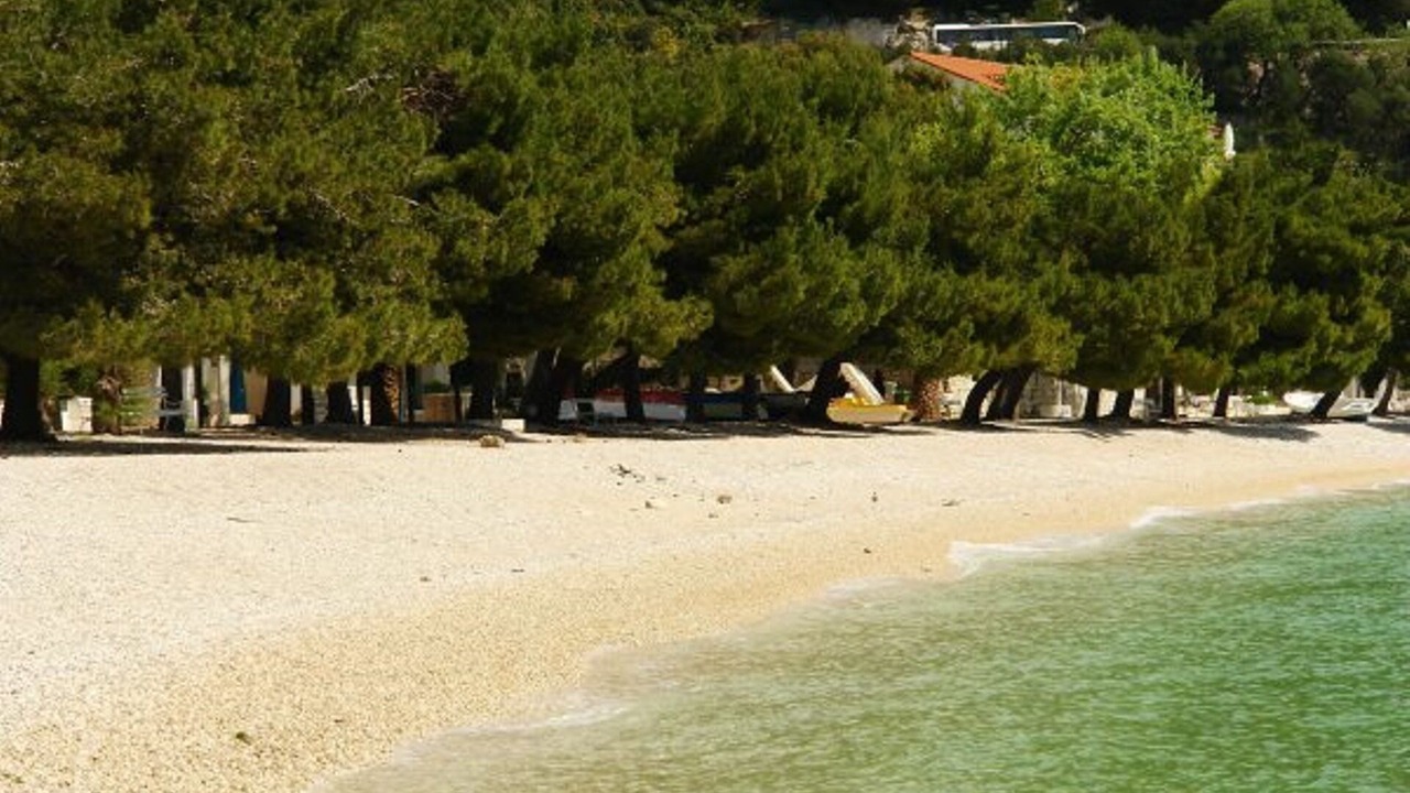 Photo of Others in Drvenik