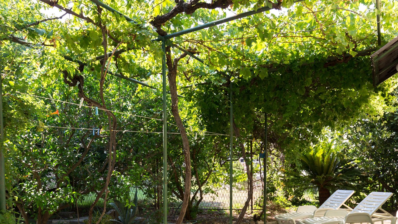 Photo of Outdoor in Drvenik